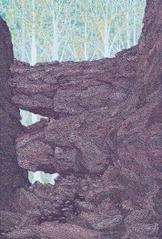01_le_mur_web_clement_vuillier.jpg