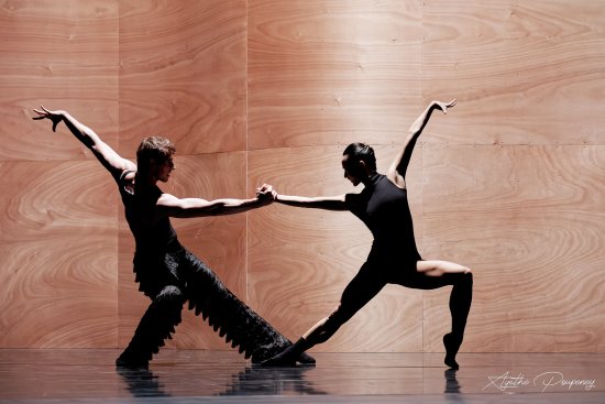 Enemy in the Figure - W.Forsythe